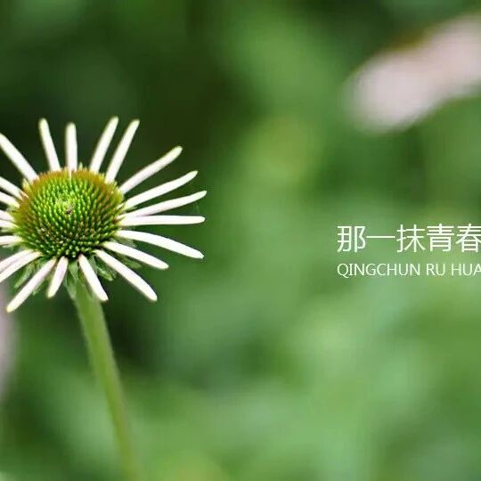 【青春课堂】2023年青春寄语：青春课堂，因为有你，永放光芒