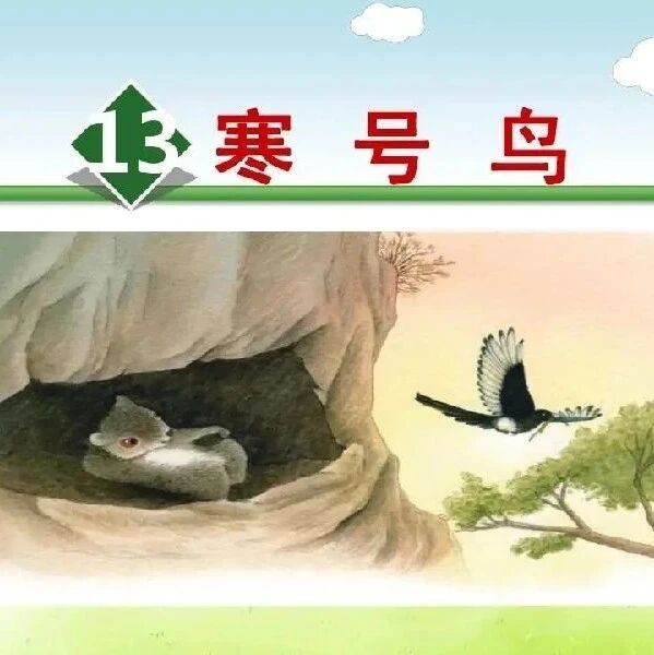 第3266季【李刚专栏】小生活（179）寒号鸟
