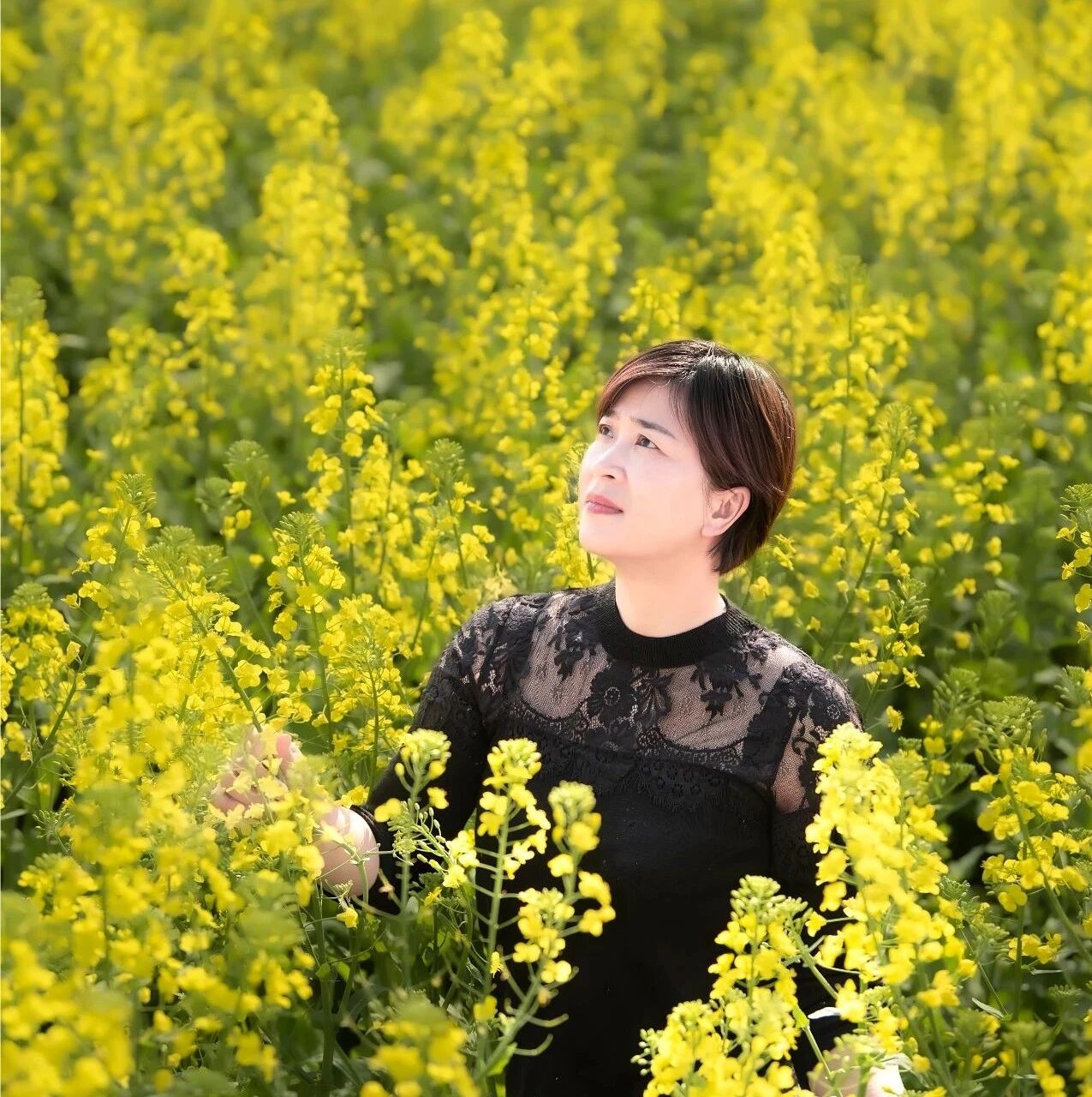 【湿地随笔】刘国兰：冲破世俗束缚，成就乱世美神——《乱世中的美神》阅读指导