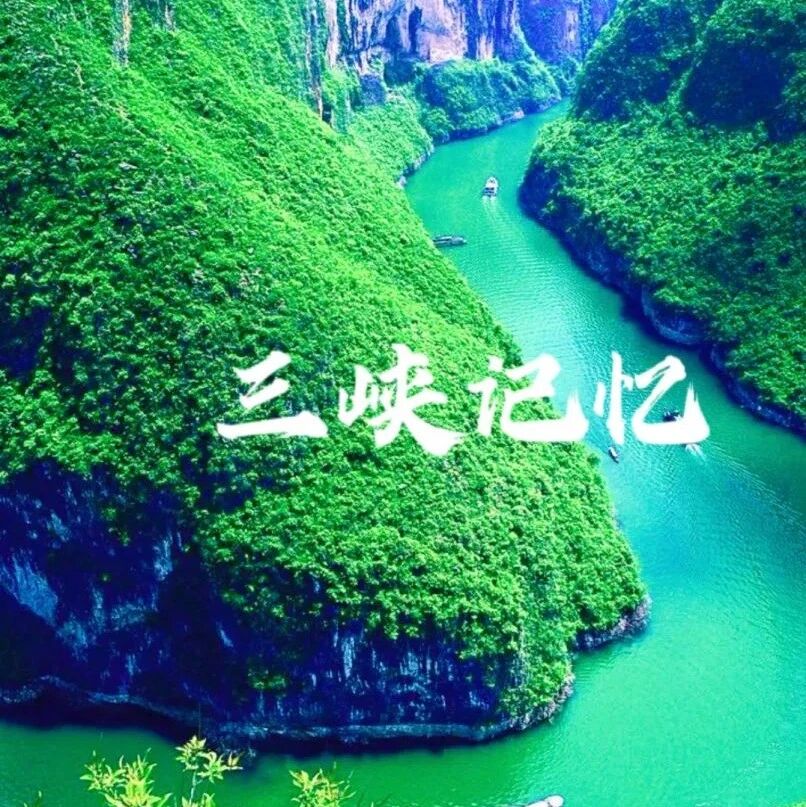 第3205季【海波专栏】文言文教学的路径探秘——听卢望军《三峡》有感