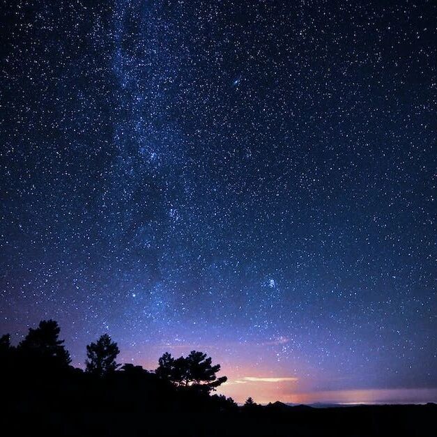 【盐城射阳·培育站专栏·第十六期】我们在脚踏实地追星——学习王君导师张译大课《我是一个演员》心得体会三则