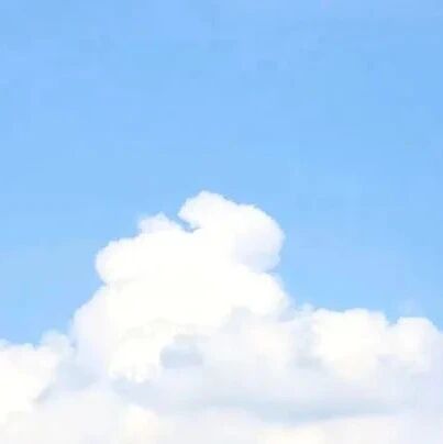 第3216季【山海凿文】梦瑶：名著阅读“四阶段进阶式”关键任务的设计和实施