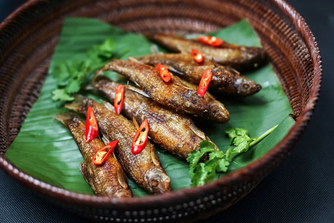 巴马油鱼-寿乡独有的"水下小人参"