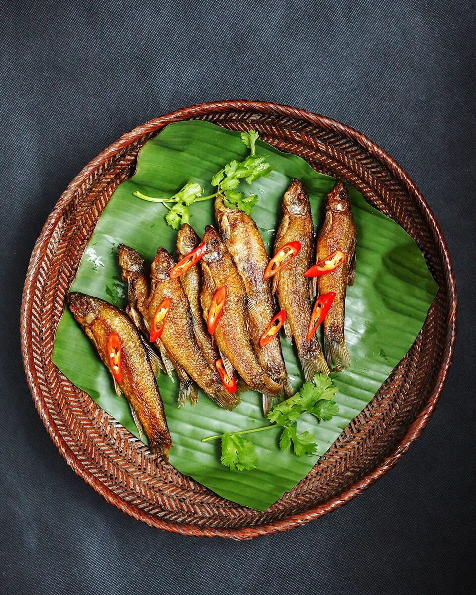 巴马油鱼-寿乡独有的"水下小人参"