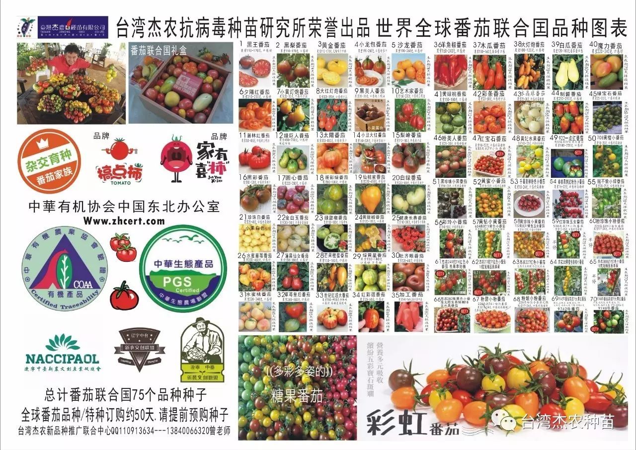 【台湾杰农】冰糖玉，黑珍珠及珍珠白小番茄栽