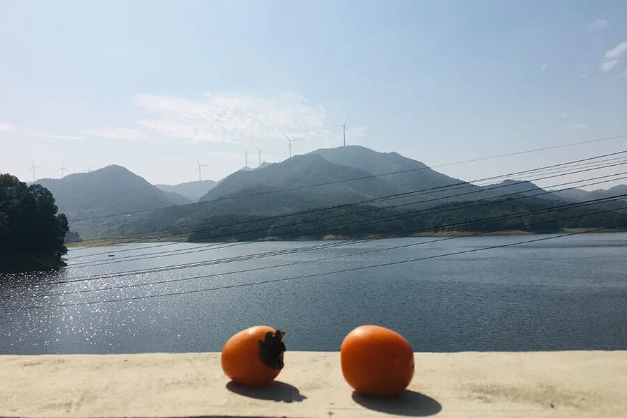 和许多壶天人那样，我也想正式成为小白脸