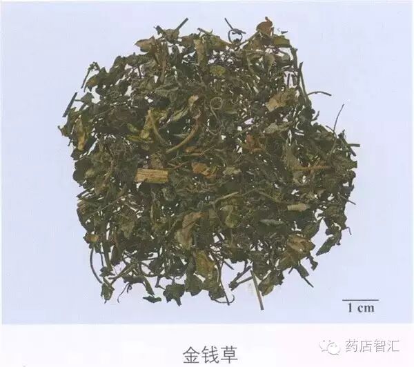 中药学堂金钱草转载