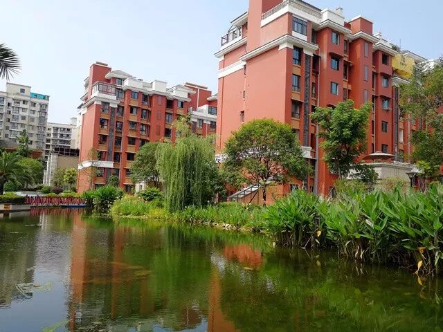 (弘景湾板式楼实景,一看感觉很舒心,不拥挤)