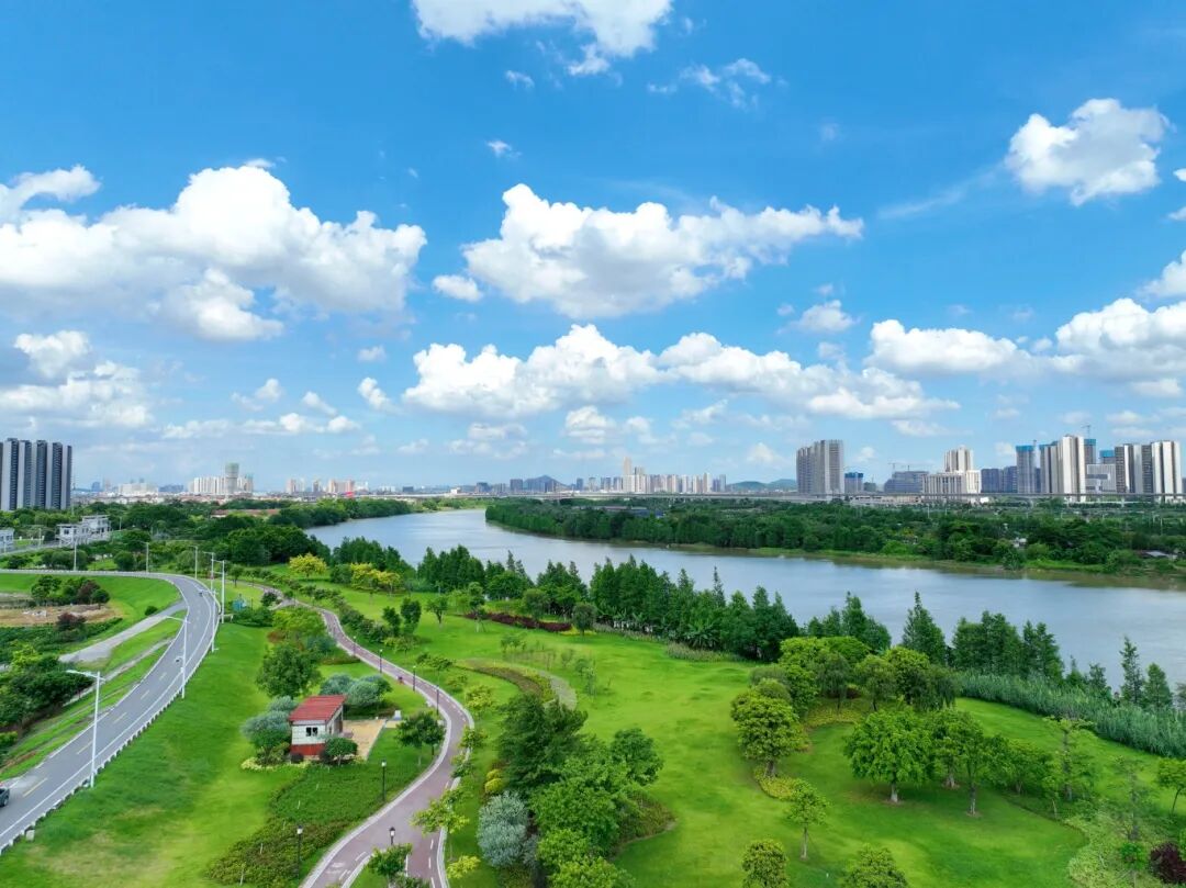 这条陈村人最熟悉的大海沉淀着老一辈的集体回忆