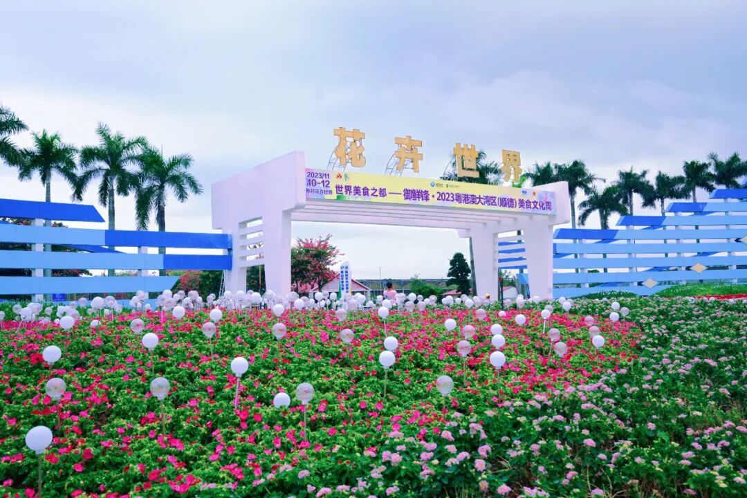 跑马观花双11来花卉世界遇见最浪漫的ta