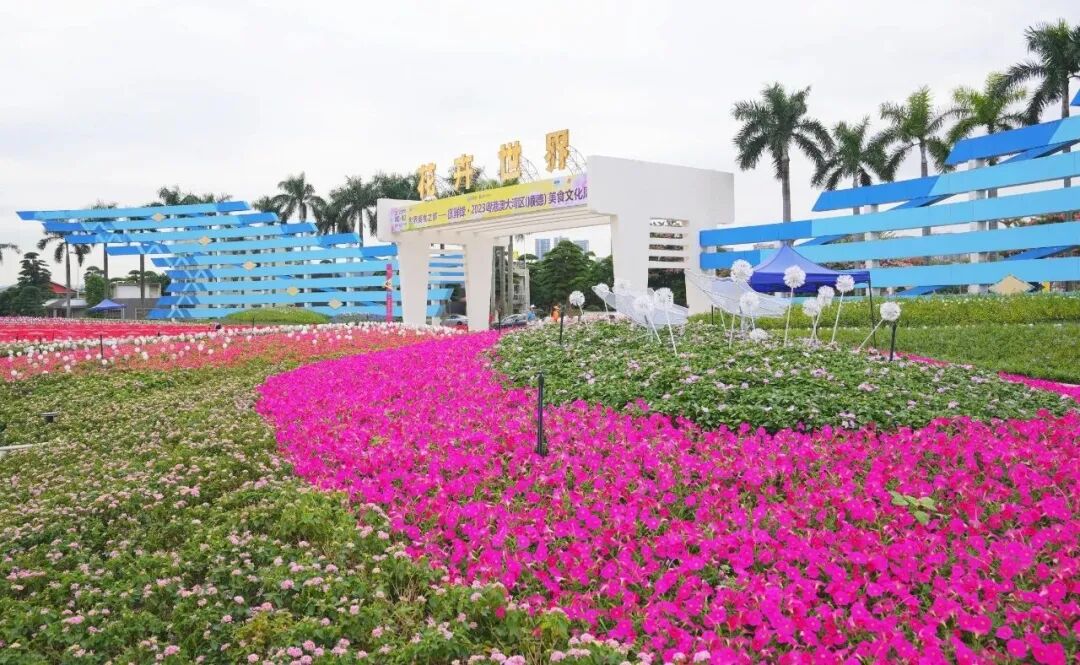 跑马观花双11来花卉世界遇见最浪漫的ta