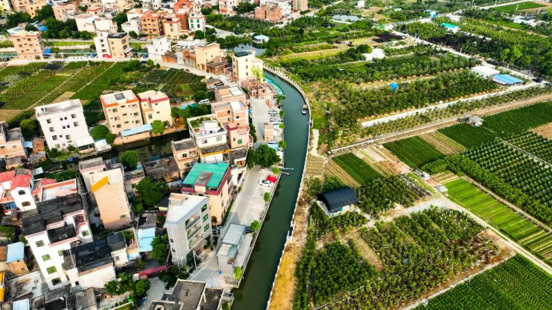 原来陈村这些地名都有水快看看有你家没