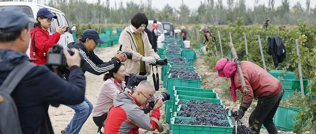 文章封面