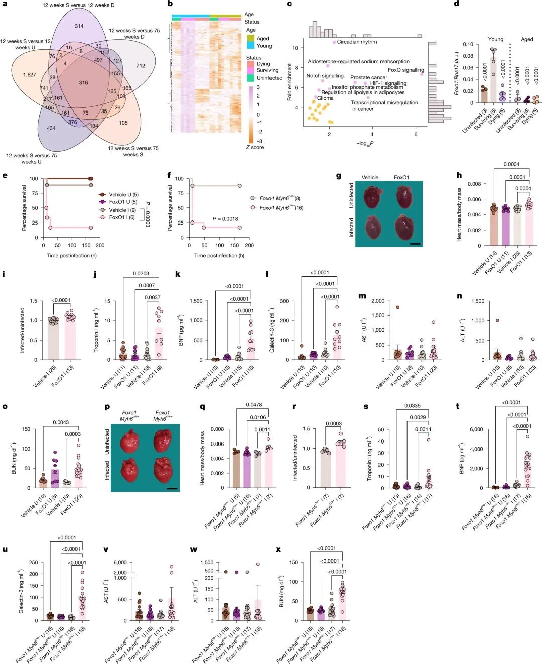 fig2(1).jpg