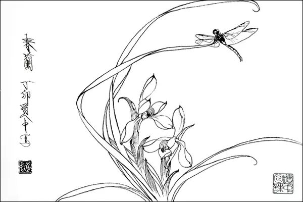 国画工笔花卉白描技法详解 难得的教程 书画国画工笔画 微信公众号文章阅读 Wemp