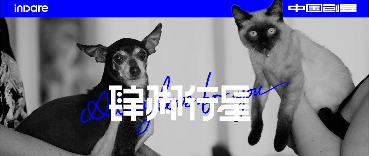 新品牌首发｜他们用 500 天，终结宠物的“城漂” 无助