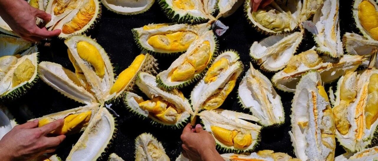 世界上最能实现榴莲自由的人，不在泰国