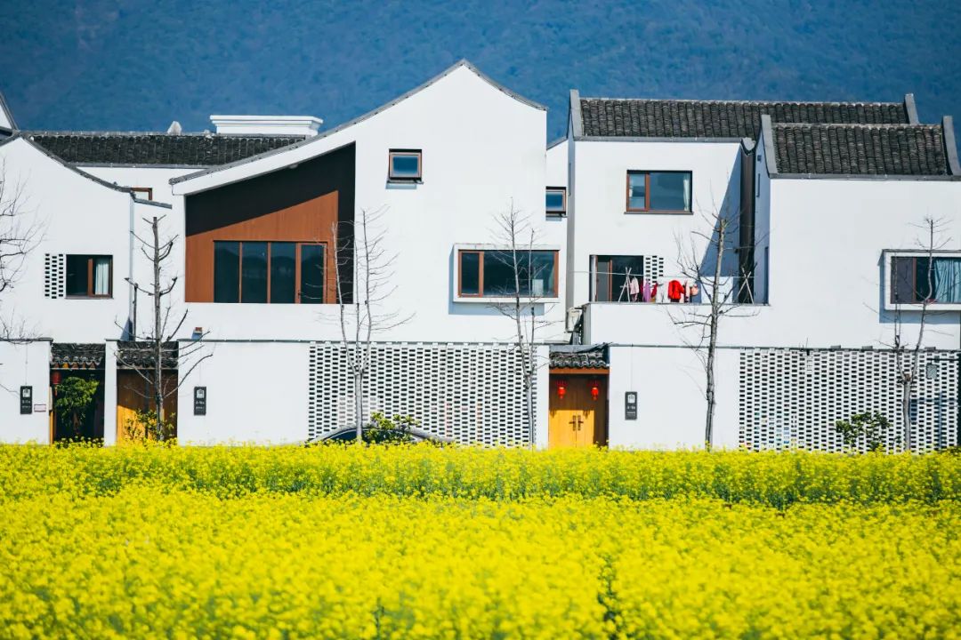 最美回遷房——富陽東梓關村的鄉村別墅.