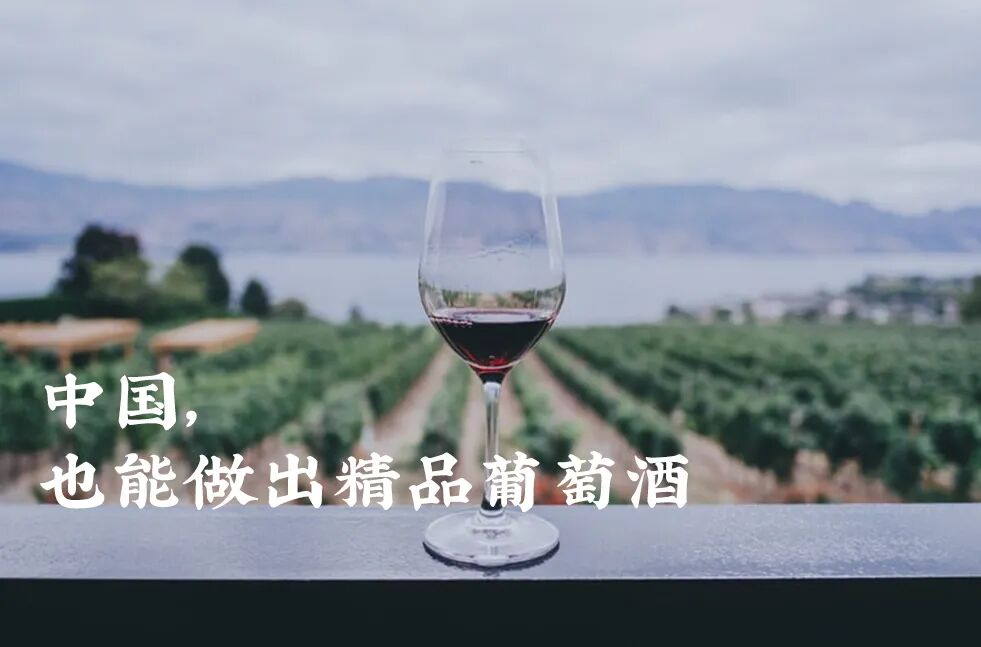 别看不起国产红酒，都馋到老外了
