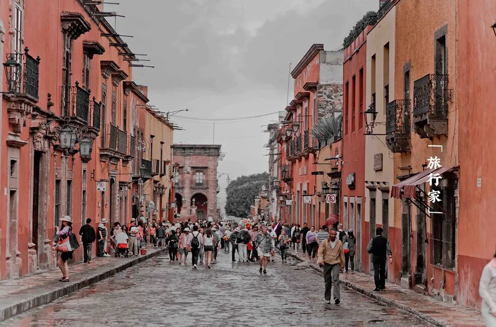 ���굤���׶��ķ��ӣ���������ͯ����