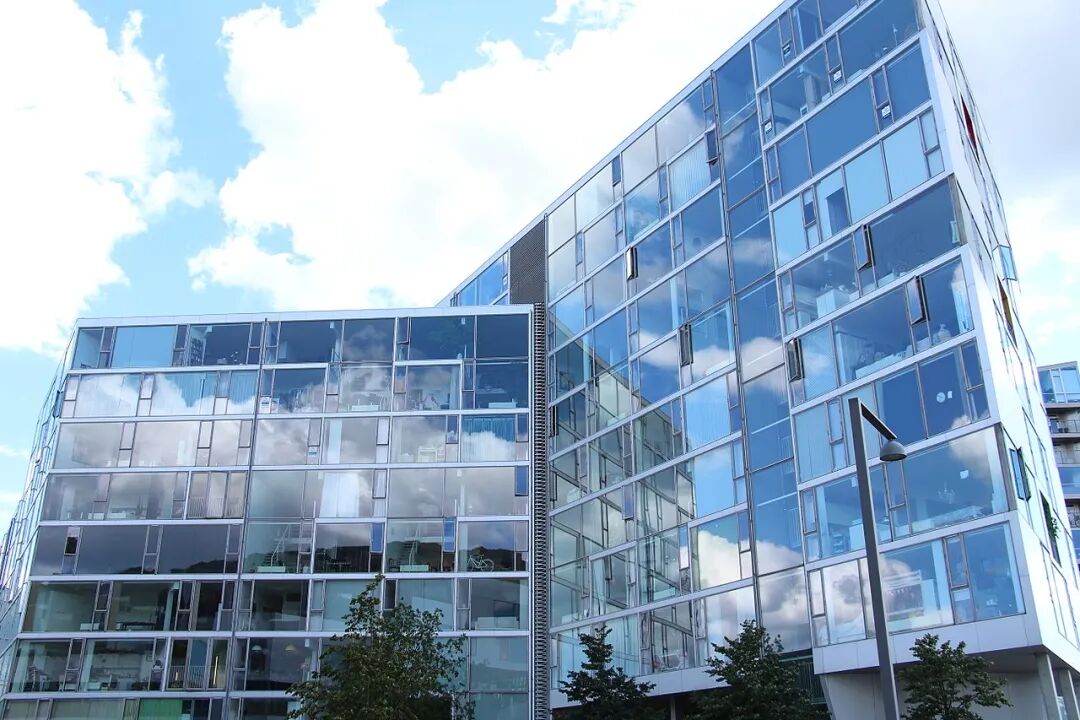 ���굤���׶��ķ��ӣ���������ͯ����