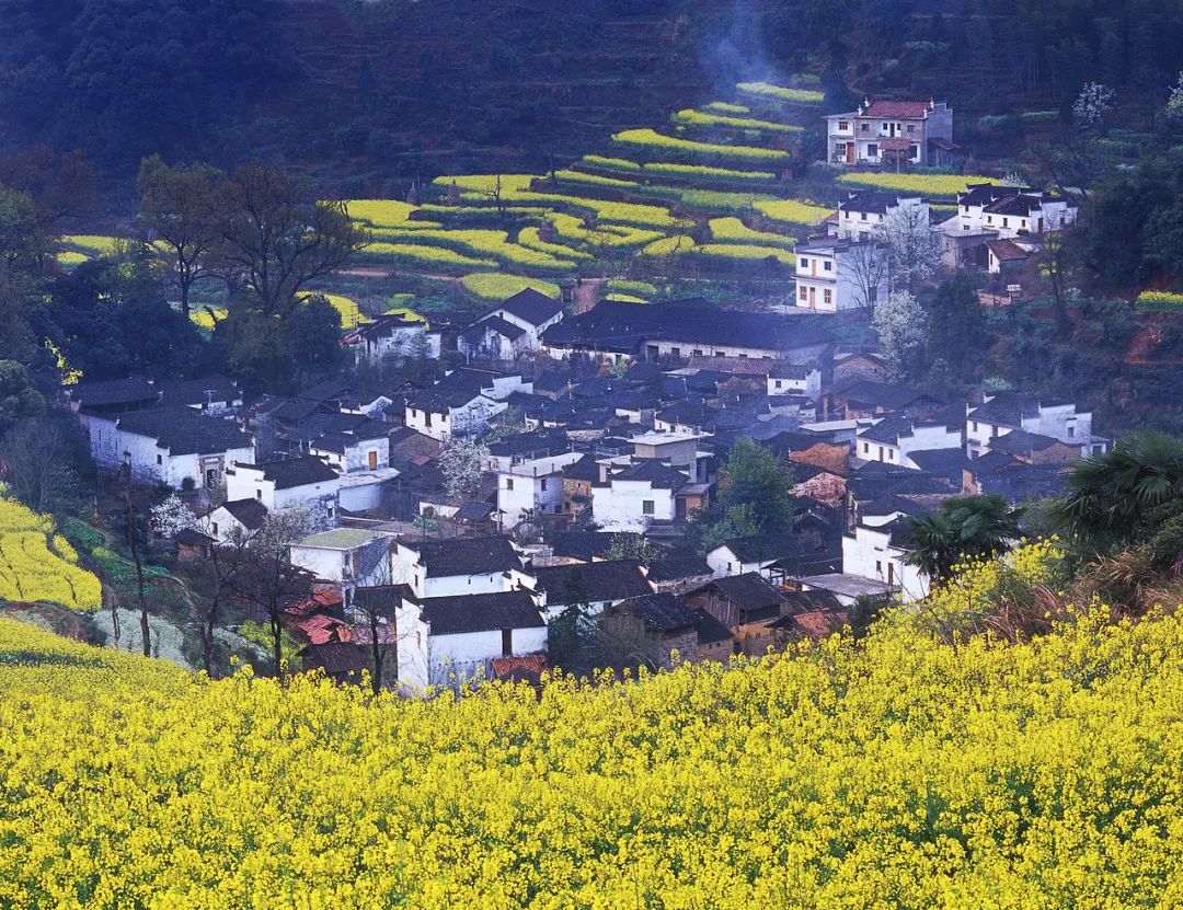 中國最沒網紅感的省，值得你去一萬次 旅遊 第22張