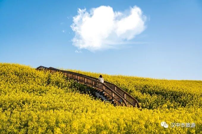 汉中油菜花海线路攻略！看完直呼：世界那么大，我要去看看！