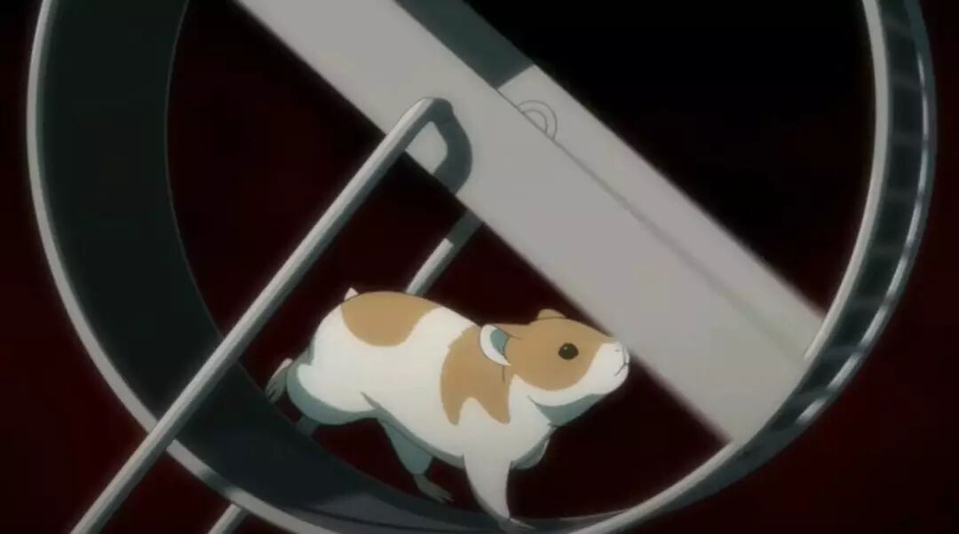 只有我不在的街道 披着悬疑外衣的人情剧 十二点贩卖机 微信公众号文章阅读 Wemp