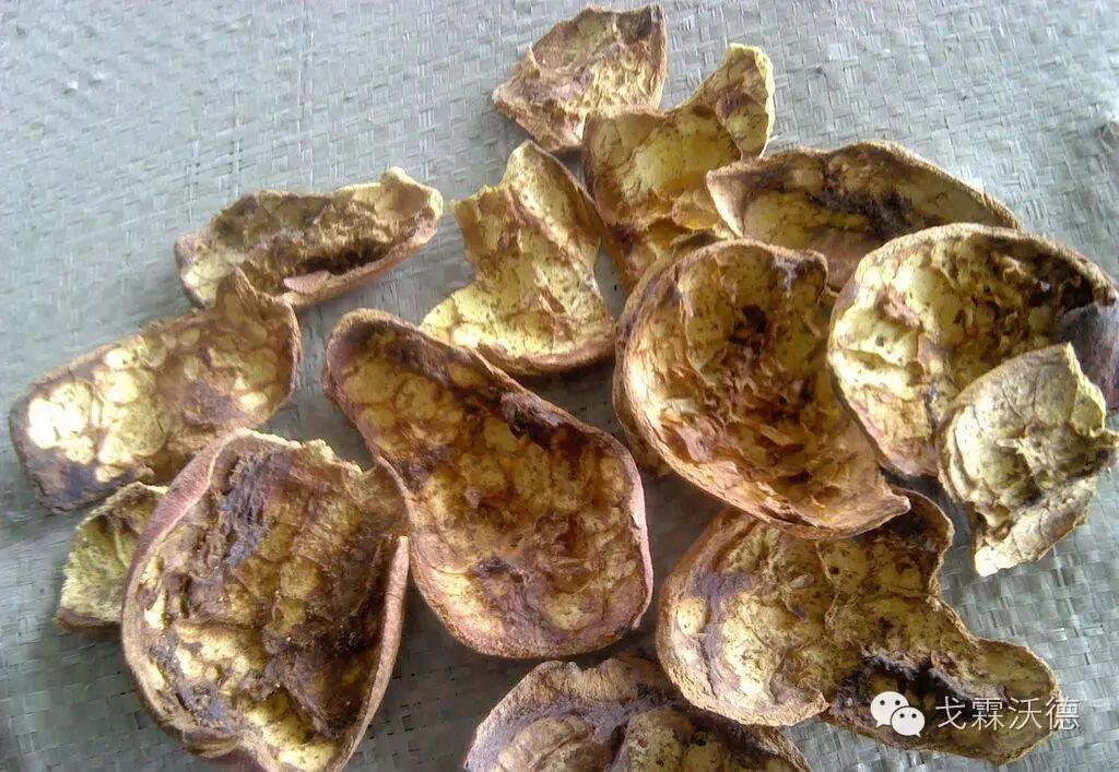 梨皮是一种药用价值较高的中药,中医认为其能清心润肺,降火生津,除了