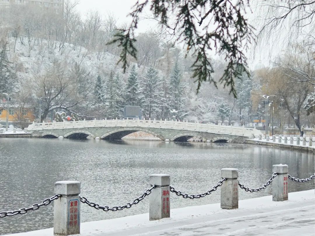 大运河森林公园雪景图片