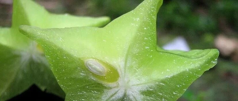 这三种水果，伤肾！