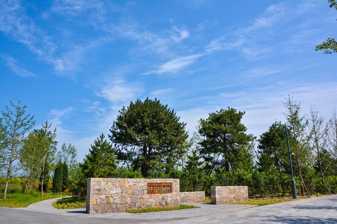 新開！北京最大綠色生態公園，山水田園 江南風光 景中有景！免費！ 旅遊 第66張