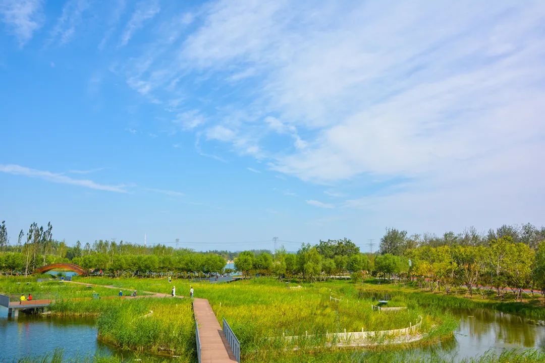 新開！北京最大綠色生態公園，山水田園 江南風光 景中有景！免費！ 旅遊 第25張