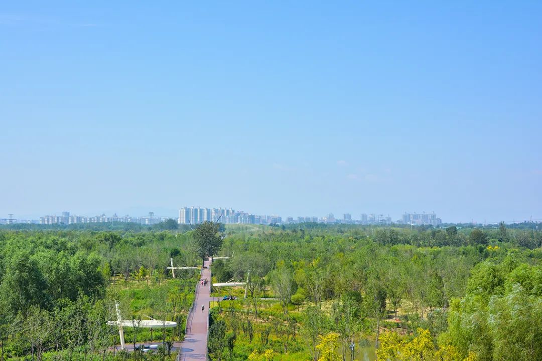 新開！北京最大綠色生態公園，山水田園 江南風光 景中有景！免費！ 旅遊 第95張