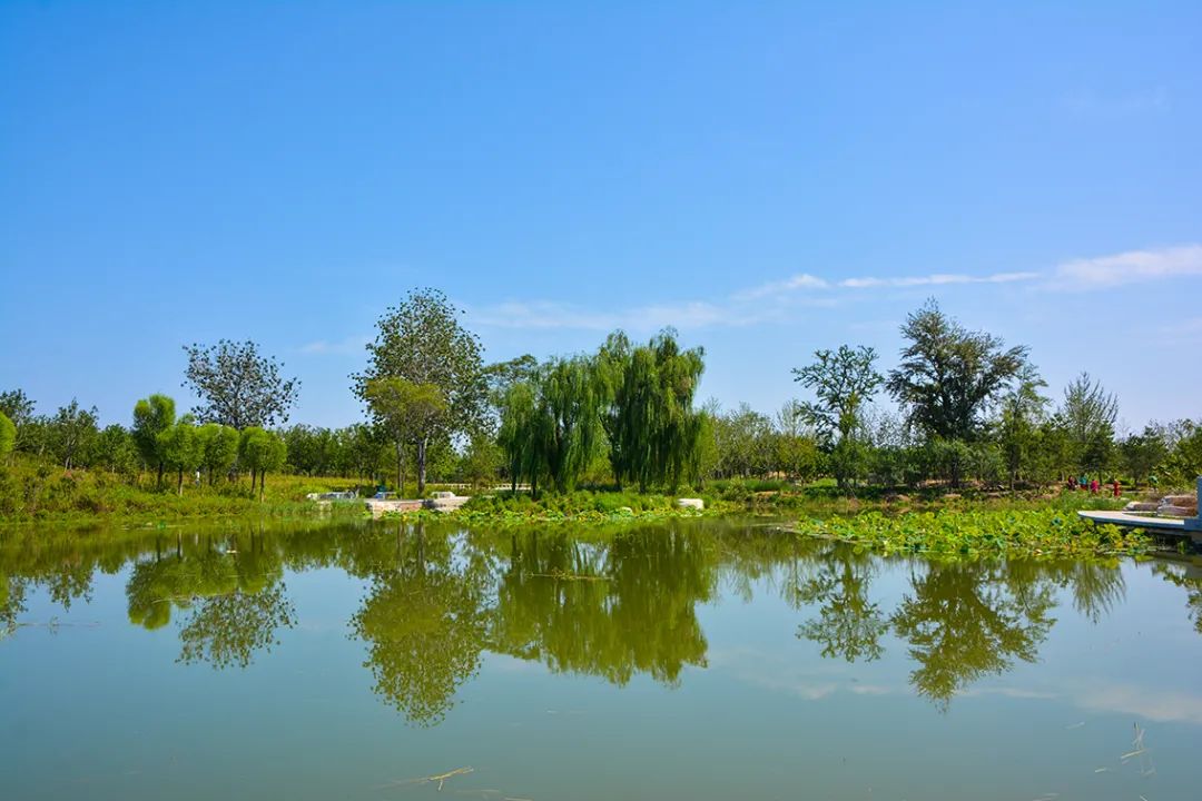 新開！北京最大綠色生態公園，山水田園 江南風光 景中有景！免費！ 旅遊 第98張