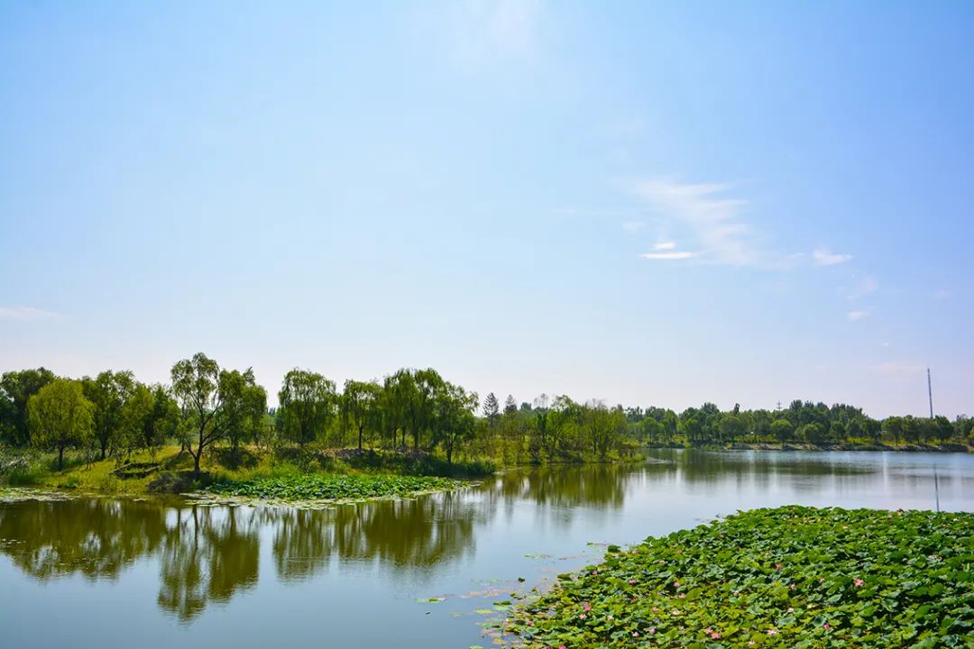 新開！北京最大綠色生態公園，山水田園 江南風光 景中有景！免費！ 旅遊 第57張