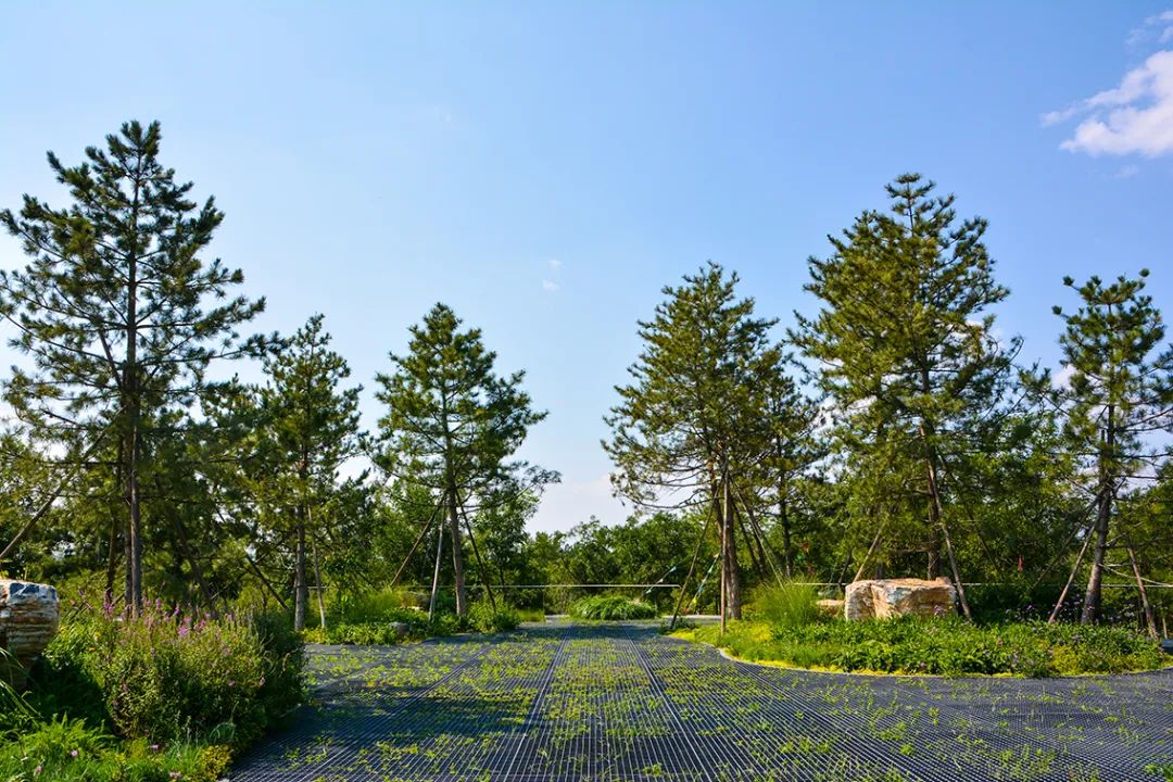 新開！北京最大綠色生態公園，山水田園 江南風光 景中有景！免費！ 旅遊 第73張