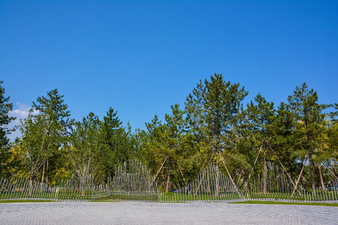 新開！北京最大綠色生態公園，山水田園 江南風光 景中有景！免費！ 旅遊 第55張