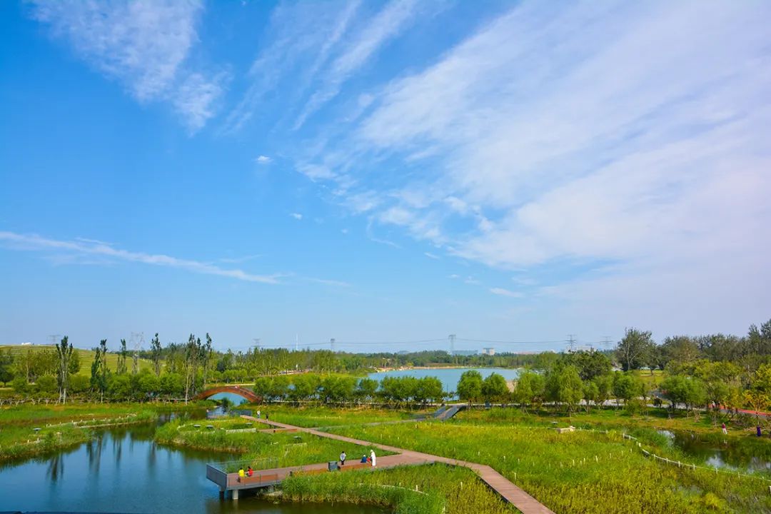 新開！北京最大綠色生態公園，山水田園 江南風光 景中有景！免費！ 旅遊 第26張