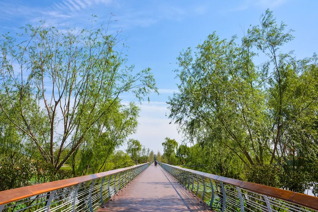 新開！北京最大綠色生態公園，山水田園 江南風光 景中有景！免費！ 旅遊 第58張