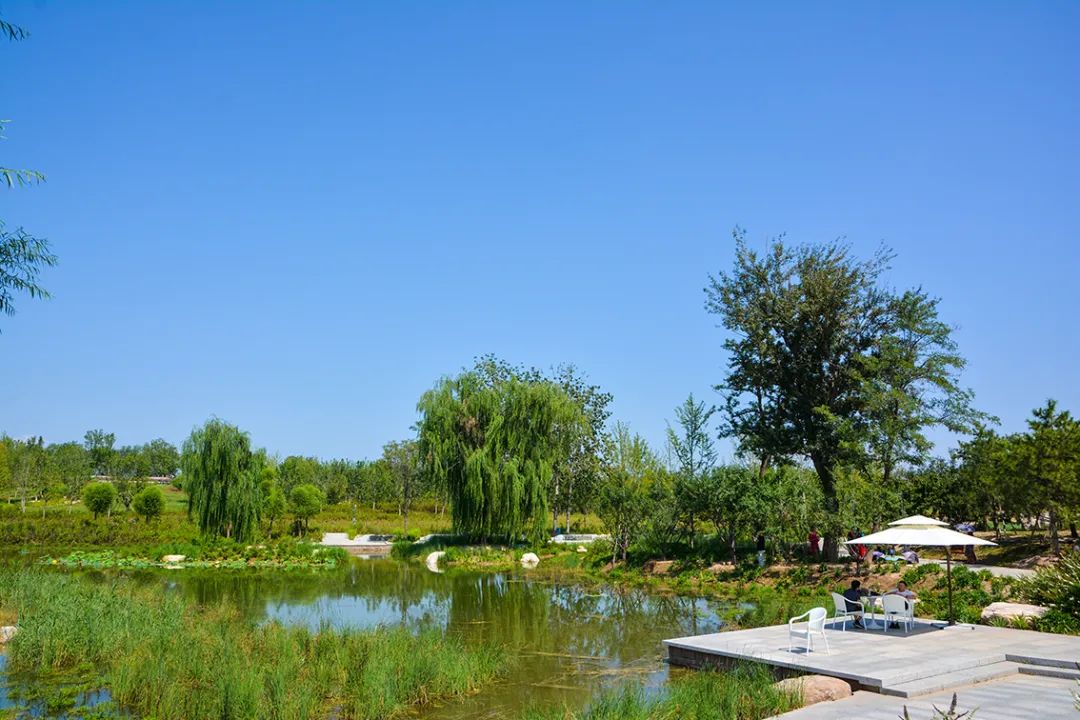 新開！北京最大綠色生態公園，山水田園 江南風光 景中有景！免費！ 旅遊 第4張