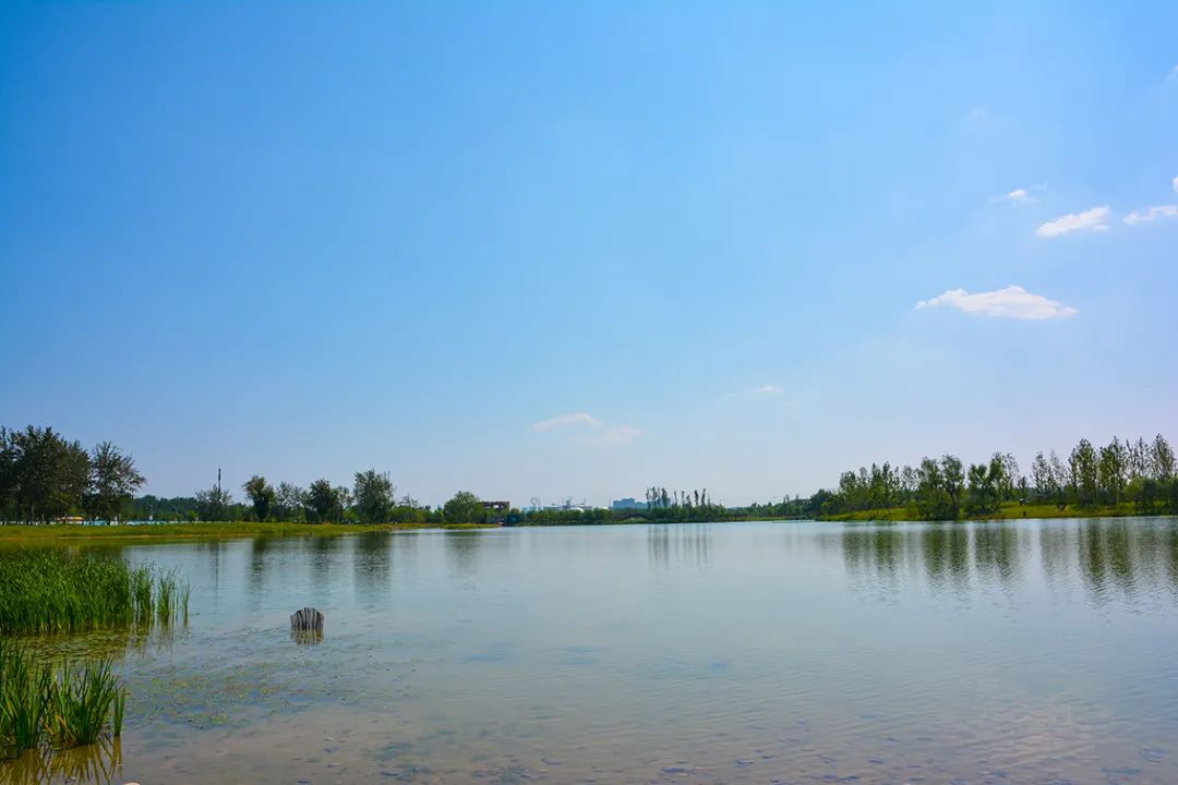 新開！北京最大綠色生態公園，山水田園 江南風光 景中有景！免費！ 旅遊 第46張