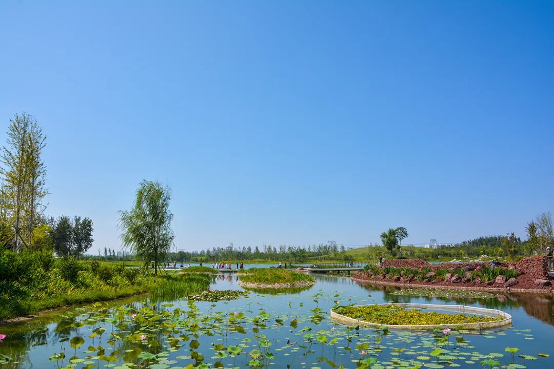 新開！北京最大綠色生態公園，山水田園 江南風光 景中有景！免費！ 旅遊 第21張