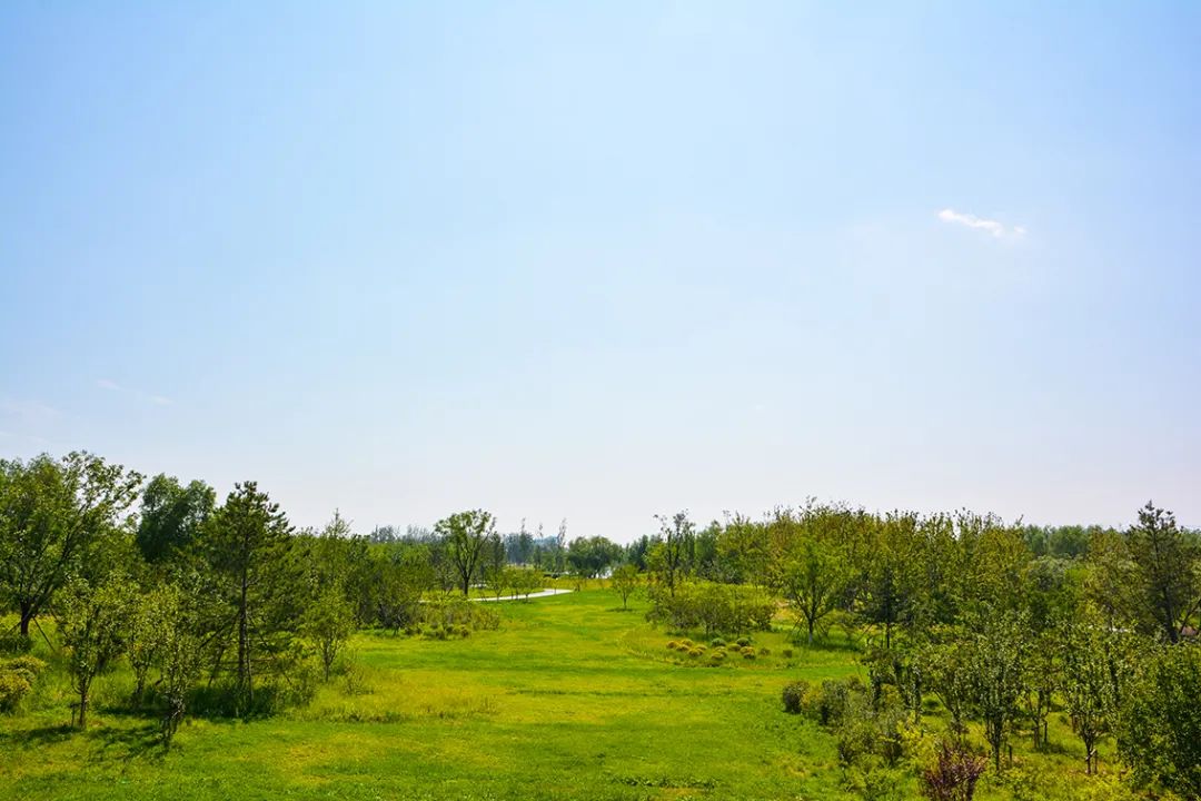 新開！北京最大綠色生態公園，山水田園 江南風光 景中有景！免費！ 旅遊 第52張