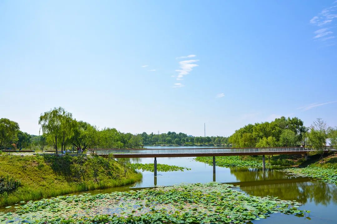 新開！北京最大綠色生態公園，山水田園 江南風光 景中有景！免費！ 旅遊 第11張