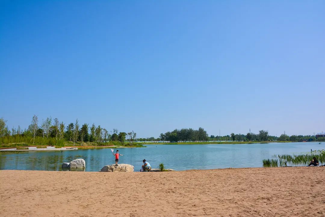 新開！北京最大綠色生態公園，山水田園 江南風光 景中有景！免費！ 旅遊 第49張