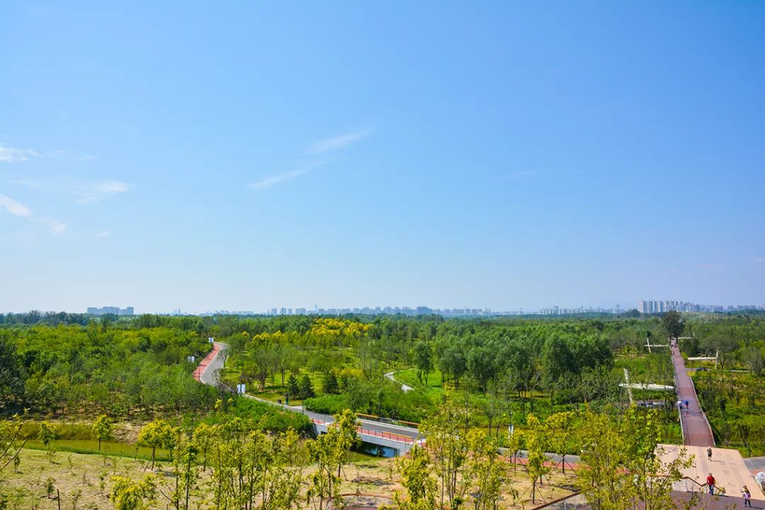 新開！北京最大綠色生態公園，山水田園 江南風光 景中有景！免費！ 旅遊 第5張