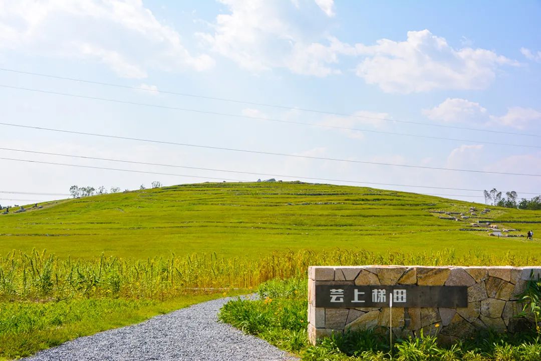 新開！北京最大綠色生態公園，山水田園 江南風光 景中有景！免費！ 旅遊 第36張