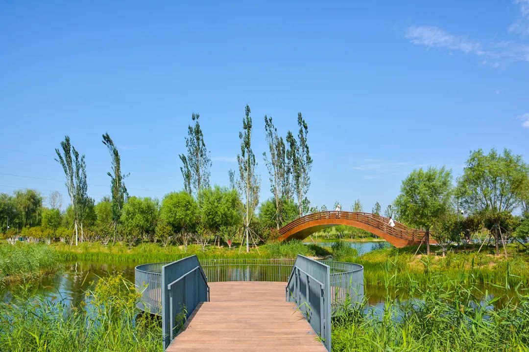 新開！北京最大綠色生態公園，山水田園 江南風光 景中有景！免費！ 旅遊 第9張