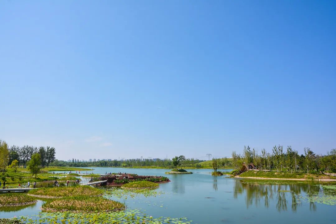 新開！北京最大綠色生態公園，山水田園 江南風光 景中有景！免費！ 旅遊 第29張